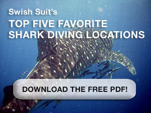 Swish Suits Favourite Shark Dives